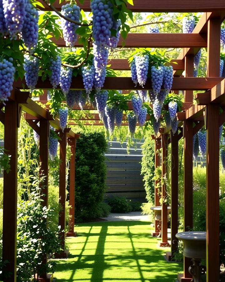 A Garden Pergola