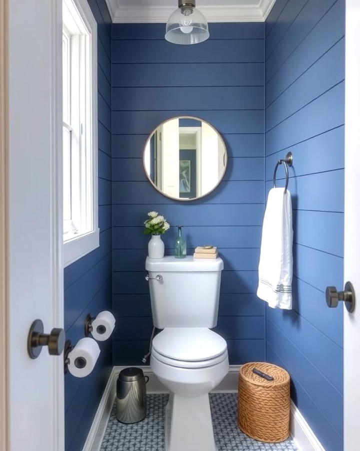 Blue Shiplap Walls