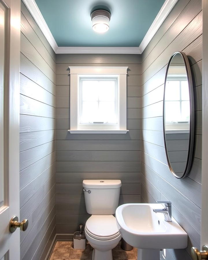 Gray Shiplap Walls with Blue Ceiling