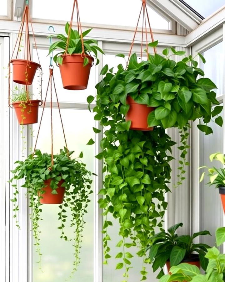 Hanging Plant Displays