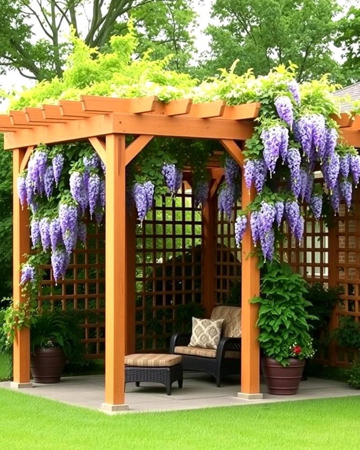 Pergola Trellis