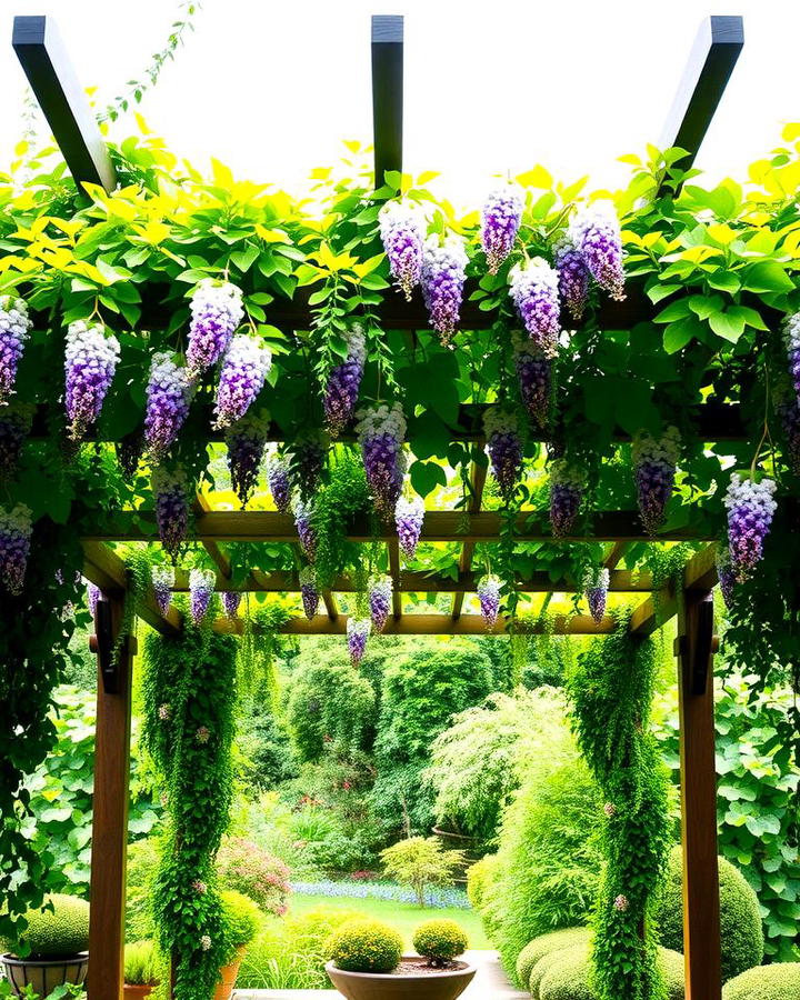 Pergola with Climbing Plants