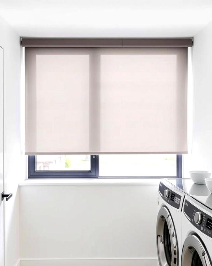 Roller Shades for a Sleek and Modern Look