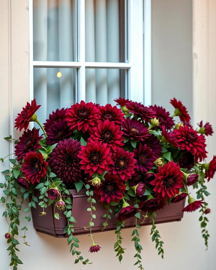 Romantic Vibe with Burgundy Dahlias and Cascading Vines