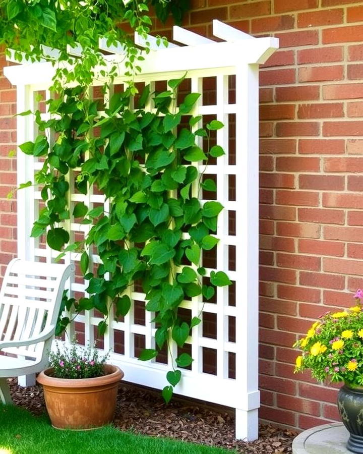 Vinyl Trellis