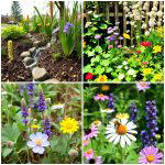 20 Inspiring School Garden Ideas to Engage and Educate