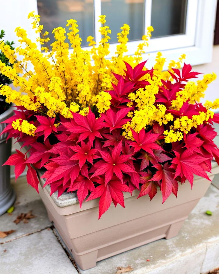 goldenrod and red maple leaves flower box