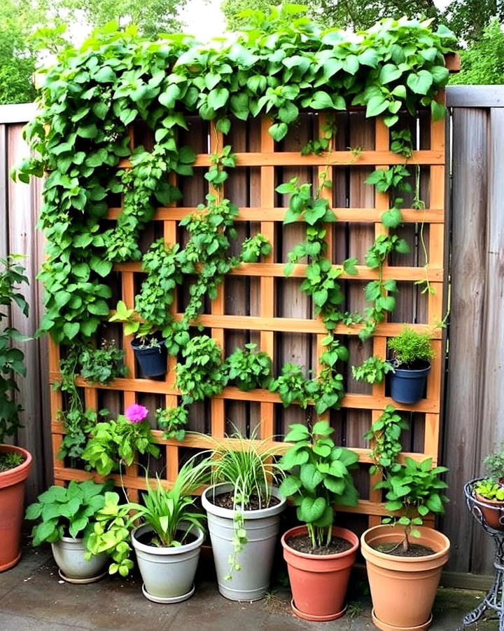 vertical garden trellis