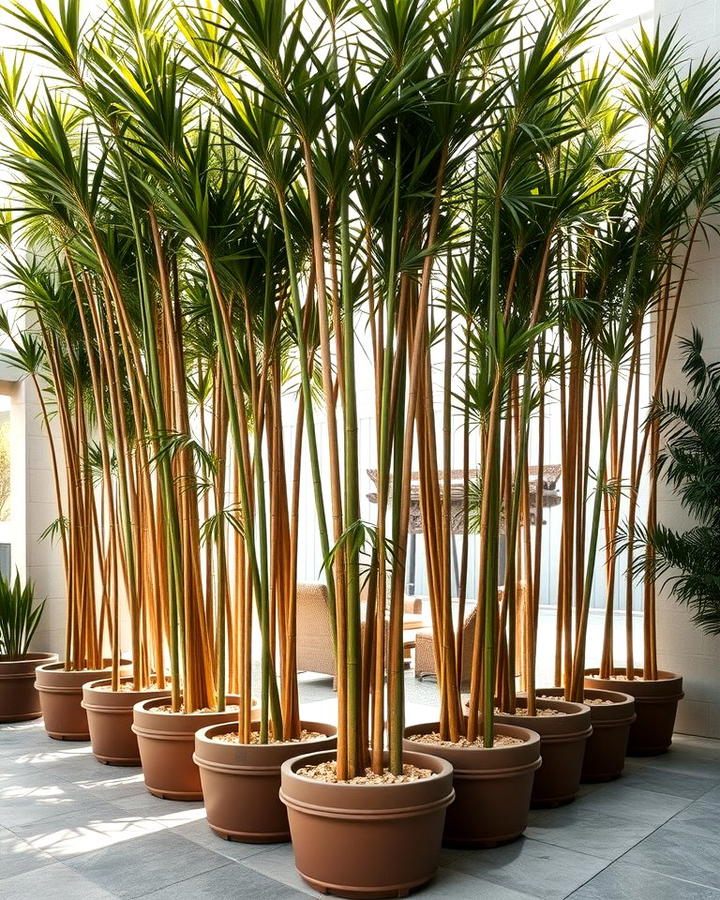 Add a Row of Tall Potted Plants - 30 Ideas Cheap Ways to Block Neighbors View