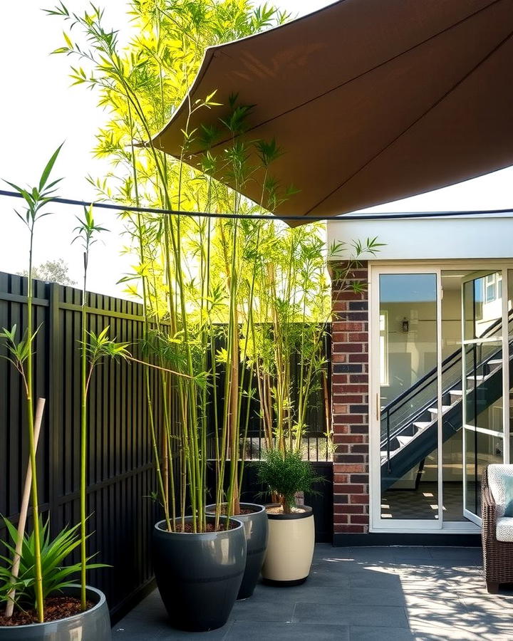 Bamboo A Stylish Privacy Screen - 25 Outdoor Plants for Patio
