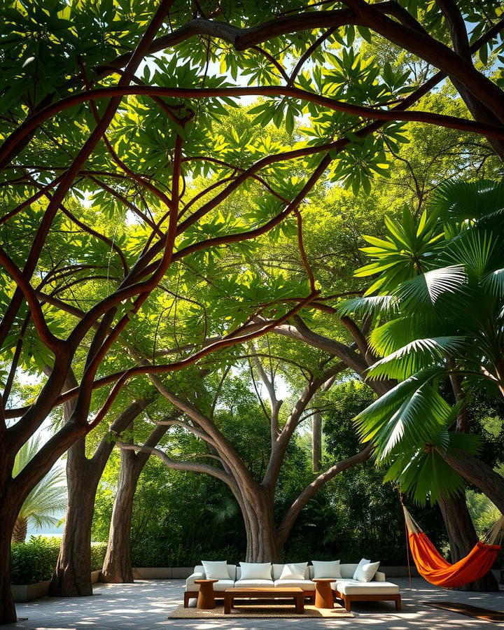 Canopy Trees for Shaded Retreats - 25 Tropical Landscape Ideas