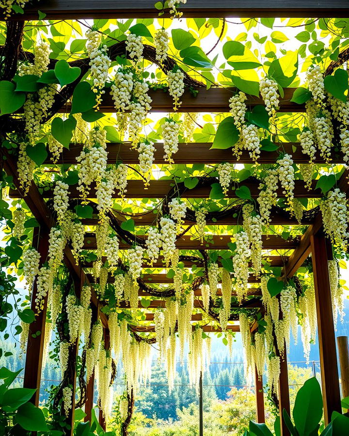 Climbing Plants and Vines - 25 Pergola Shade Ideas