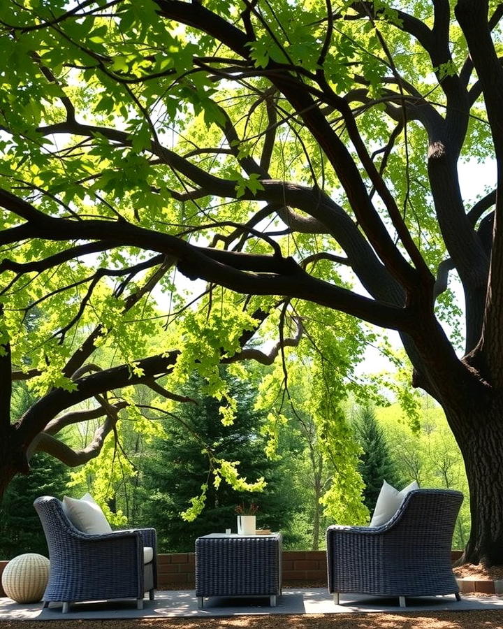 Tree Canopy Seating Area - 25 Shady Garden Ideas