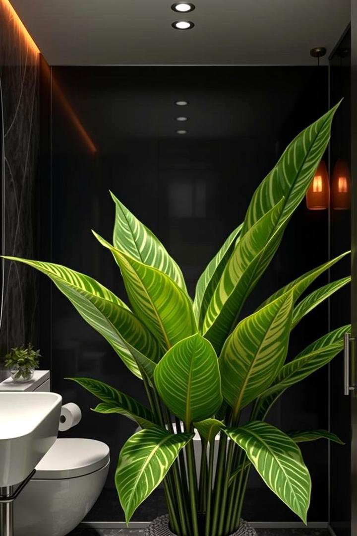 Dumb Cane Dieffenbachia - 30 Best Plants for Bathroom