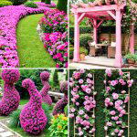 20 Beautiful Pink Garden Ideas to Brighten Your Space