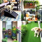 20 Dog Balcony Ideas for Your Furry Friend’s Comfort