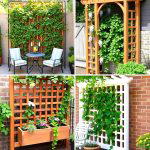 20 Trellis Ideas for Privacy in Your Outdoor Space