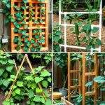25 Cucumber Trellis Ideas for a Productive Garden