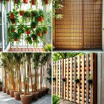 30 Cheap Ways to Block Neighbors View in Your Garden