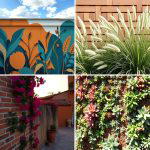 30 Garden Wall Ideas for Vertical Planting and Privacy Screens