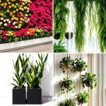 30 Indoor Plant Wall Ideas to Transform Blank Spaces