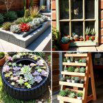 30 Outdoor Succulent Container Ideas for Easy Gardening