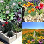 30 Perennial Flower Bed Ideas for Year-Round Blooms