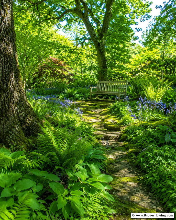 A Woodland Garden Area - 25 English Garden Ideas for a Charming Outdoor Space