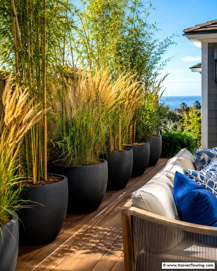 Add a Row of Tall Potted Plants - 30 Cheap Ways to Block Neighbors View in Your Garden