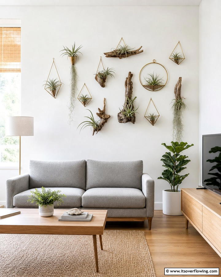 Air Plant Displays for Minimalist Style - 25 Creative Indoor Garden Ideas to Brighten Your Home
