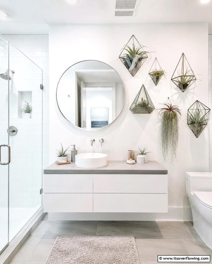 Air Plants Tillandsia - 30 Best Plants for Bathroom Spaces to Enhance Humidity & Style