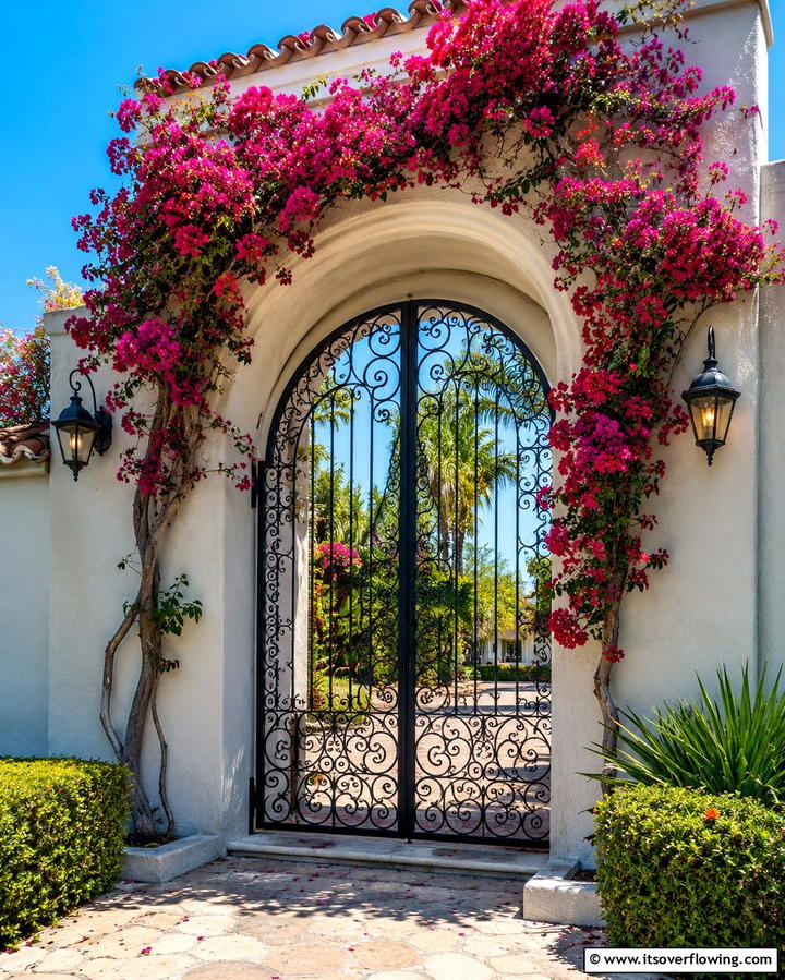 Arched Entryways with Wrought Iron Details - 25 Beautiful Front Yard Spanish Style Landscaping Ideas