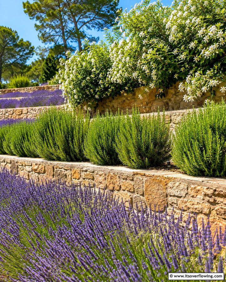 Aromatic Plant Levels - 25 Terraced Garden Ideas for Sloped Landscapes