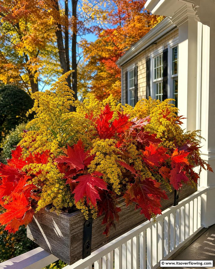 Autumn Glow with Goldenrod and Red Maple Leaves - 20 Fall Flower Box Ideas for Seasonal Beauty