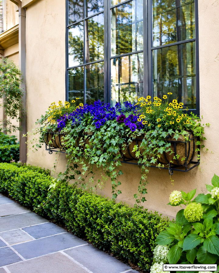Autumn Ivy Inspiration - 30 Fall Window Box Ideas for Autumn-Inspired Floral Displays