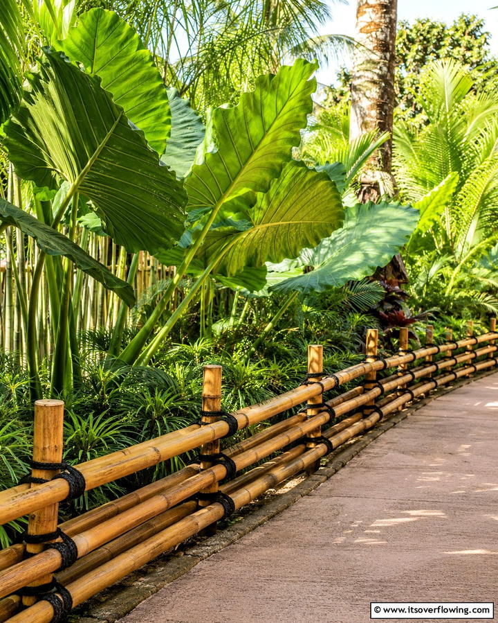 Bamboo Borders for a Tropical Vibe - 25 Low Maintenance Garden Border Ideas for Easy Landscaping