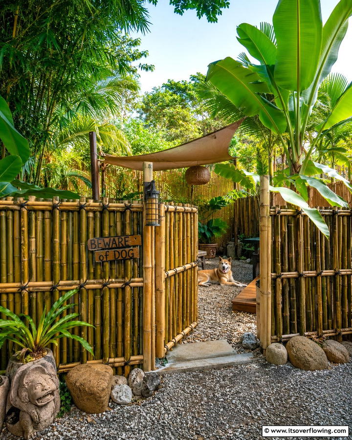 Bamboo Dog Fence for Eco Friendly Charm - 25 Dog Fence Ideas for a Safe and Stylish Yard