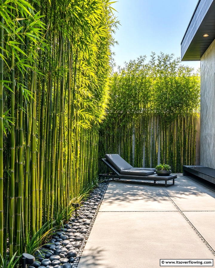 Bamboo Privacy Screens - 25 Tropical Landscape Ideas for Your Outdoor Paradise