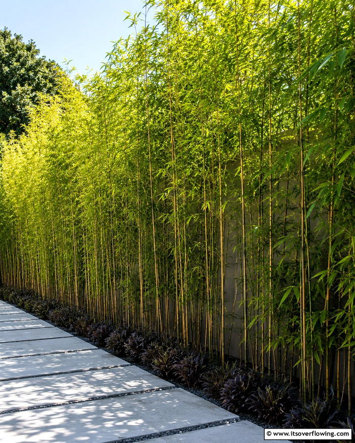 Bamboo Privacy Screens - 30 Asian-Inspired Landscaping Ideas for Serene Gardens