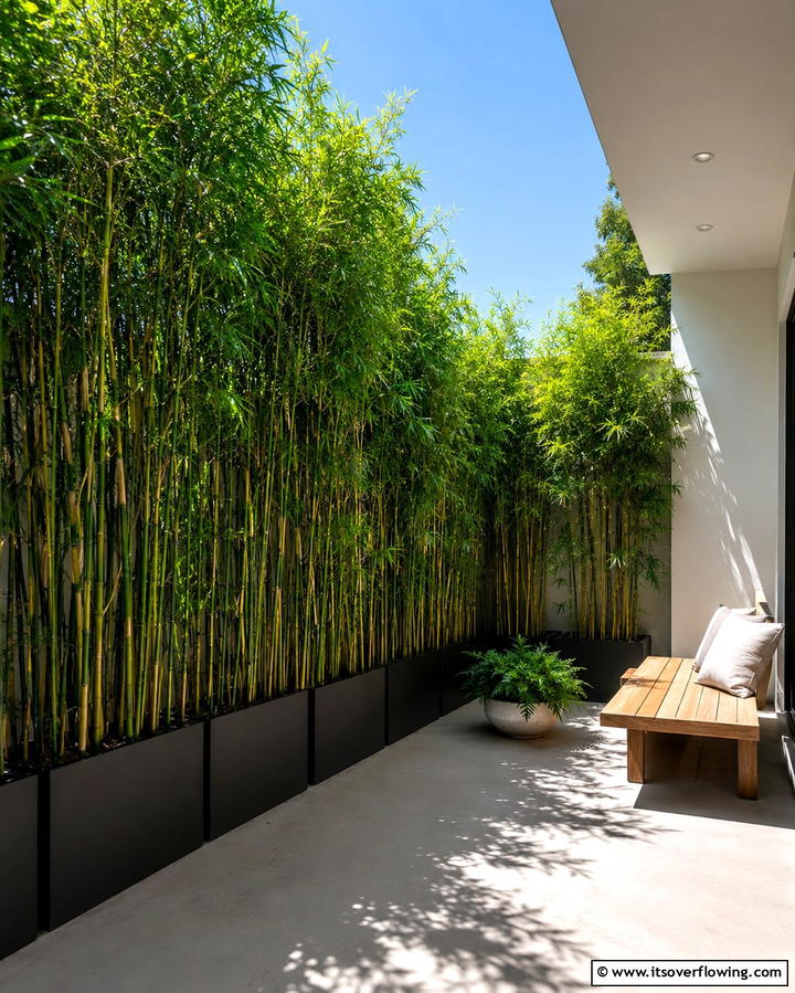 Bamboo Screening - 30 Asian-Inspired Landscaping Ideas for Serene Gardens