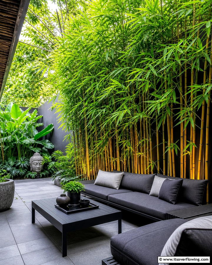 Bamboo The Exotic Screen - 25 Shrubs for Privacy- Create a Natural Barrier in Your Yard