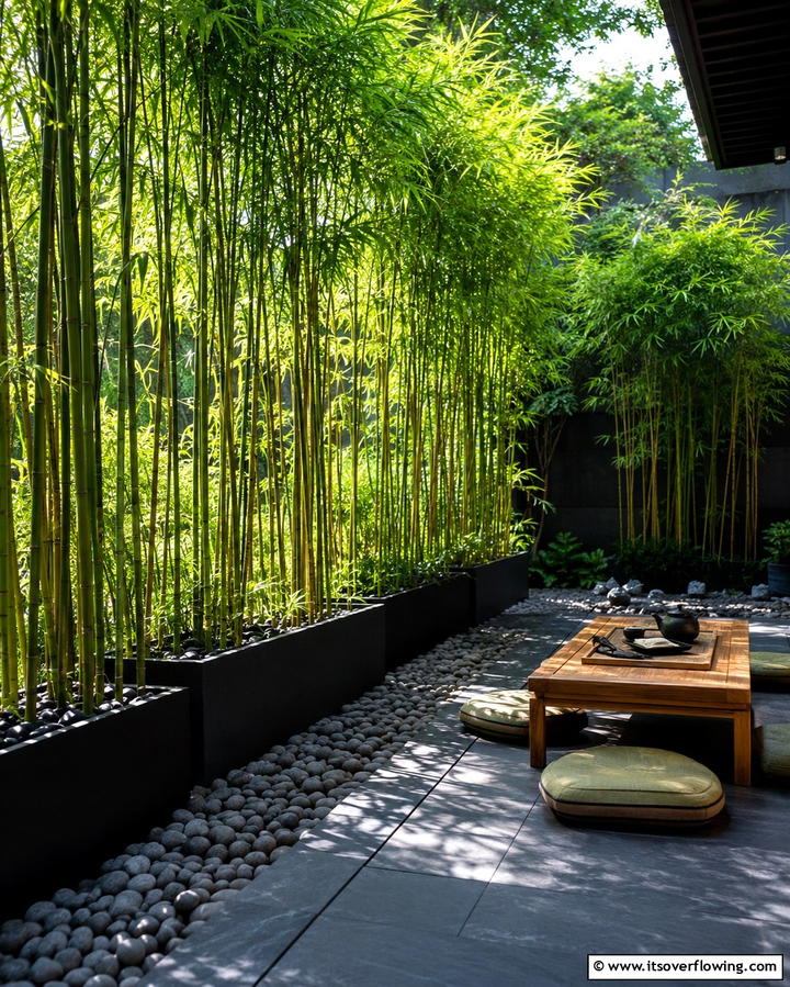 Bamboo for Zen Ambiance - 25 Patio Plants to Beautify Your Outdoor Living Space