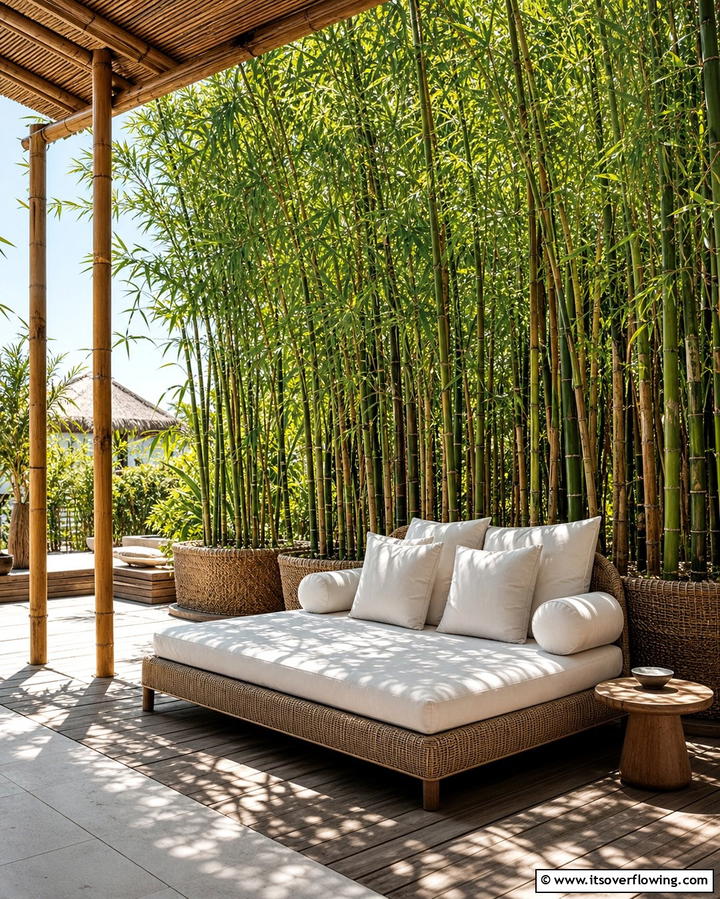 Bamboo for a Tropical Vibe - 25 Outdoor Plants for Patio to Enhance Your Space