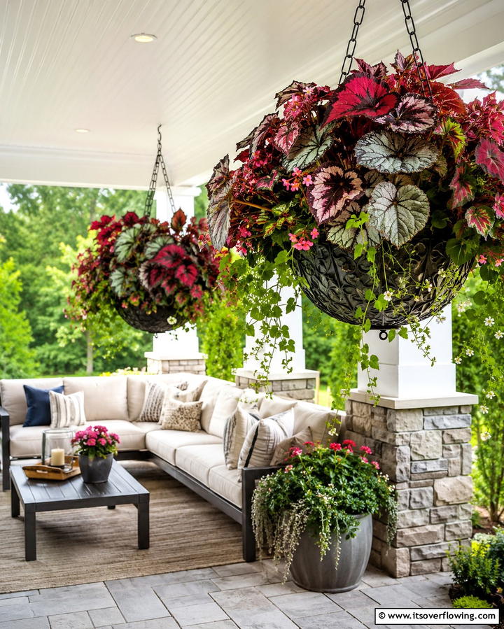 Begonias for Versatile Beauty - 25 Patio Plants to Beautify Your Outdoor Living Space