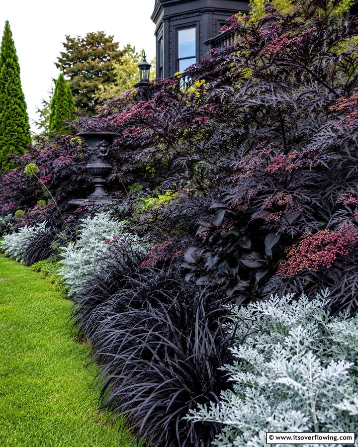 Black Foliage Plants for Depth - 25 Gothic Garden Ideas for a Dark and Mysterious Oasis