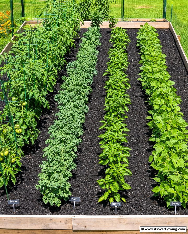 Black Mulch in Vegetable Gardens - 25 Black Mulch Landscaping Ideas for a Sleek Garden
