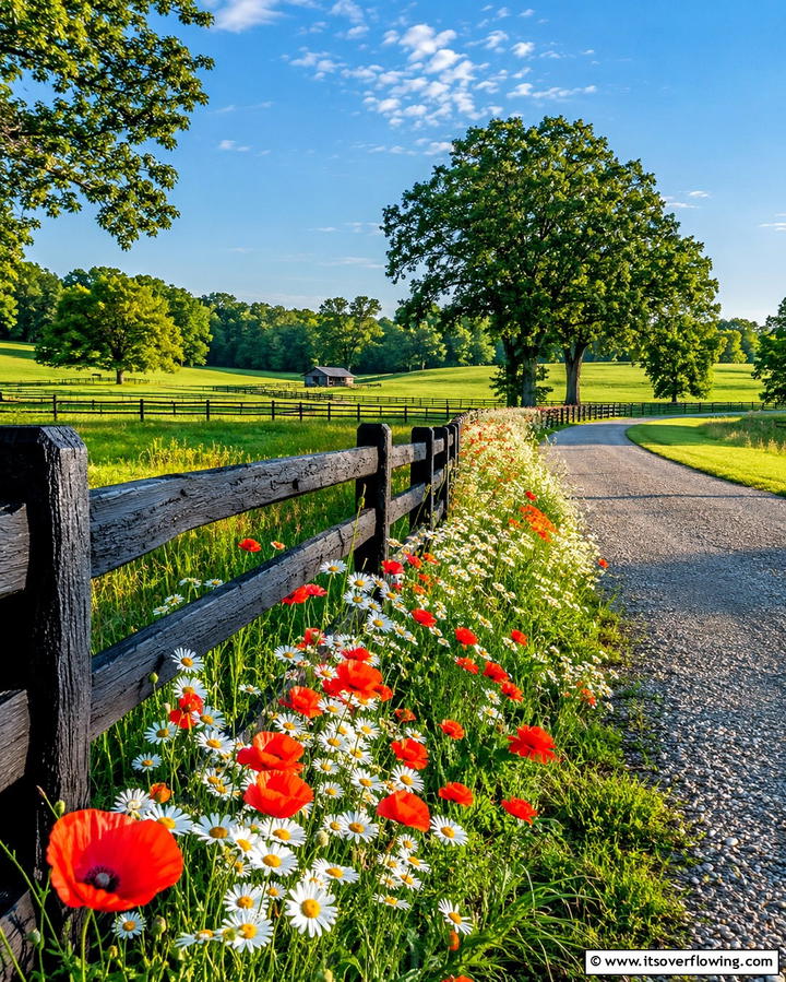 Black Split Rail Fence for Rustic Charm - 25 Black Fence Ideas for Modern Outdoor Spaces
