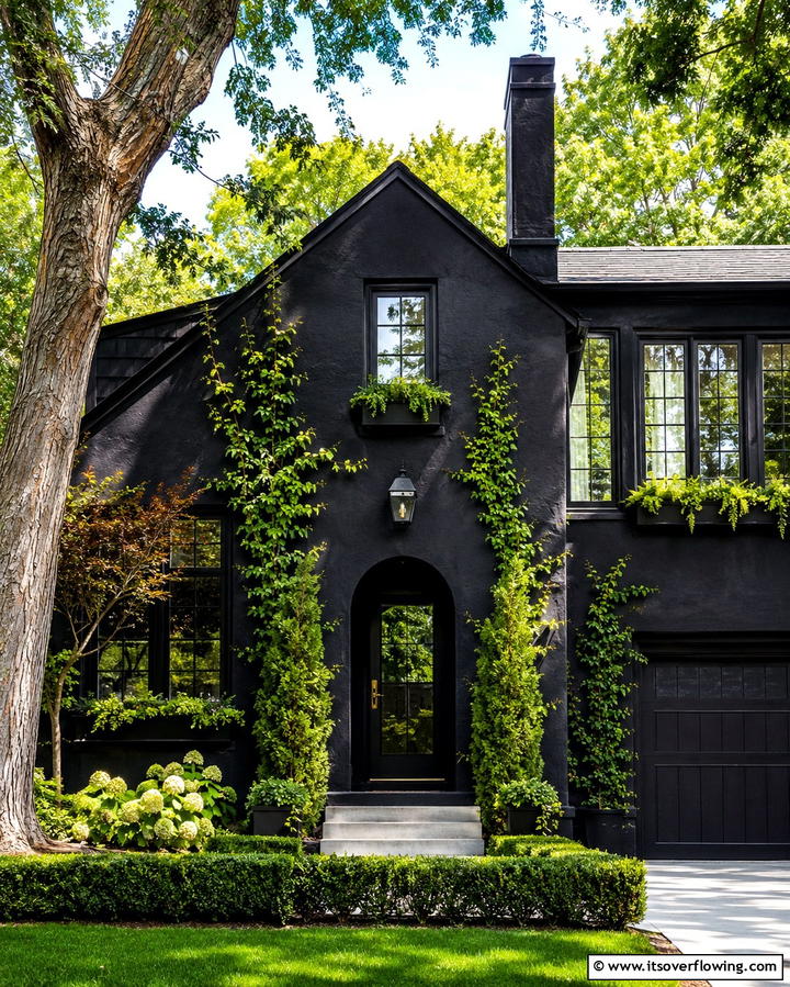 Black Stucco with Greenery - 25 Black Stucco House Ideas for Modern Exteriors
