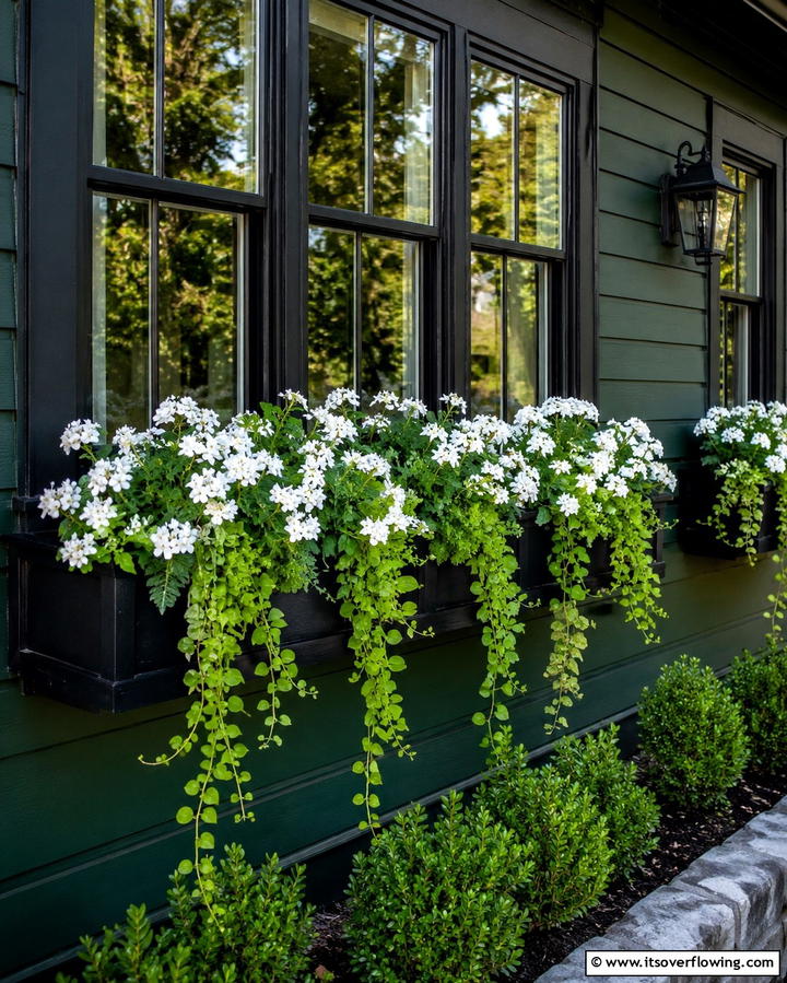 Black Window Boxes on Forest Green Walls - 25 Forest Green House With Black Trim Ideas- Bold & Modern