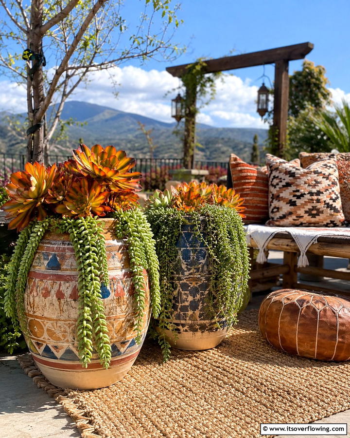 Bohemian Succulent Pots - 30 Outdoor Succulent Container Ideas for Easy Gardening